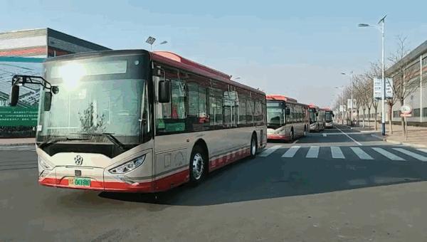 探寻天津，古今交融的繁华魅力