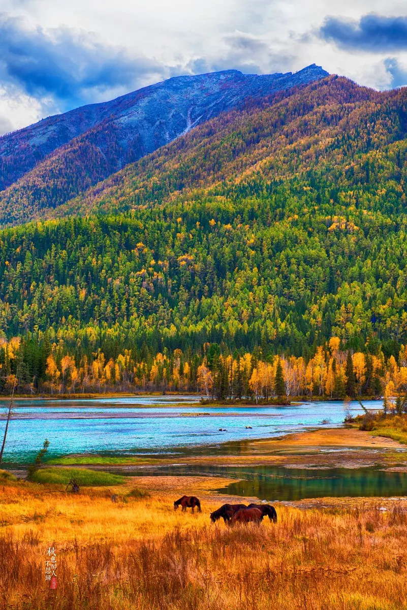 丝路明珠，新疆的璀璨风采
